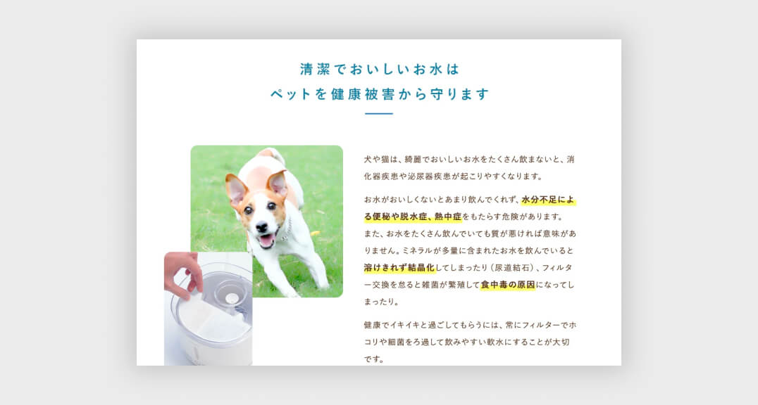 Global stage株式会社様 デザイン詳細